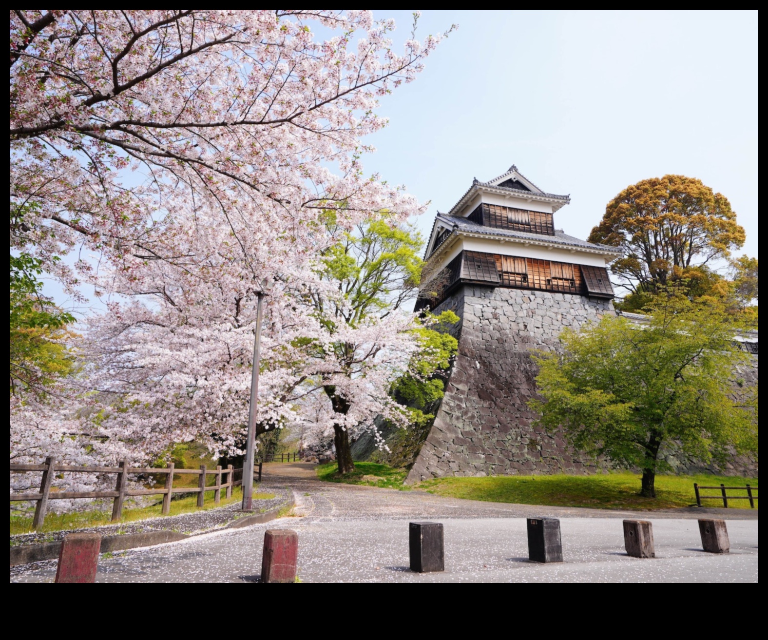 Kiraz Çiçeği Serenatı: Japon Bahçesi Lezzetleri