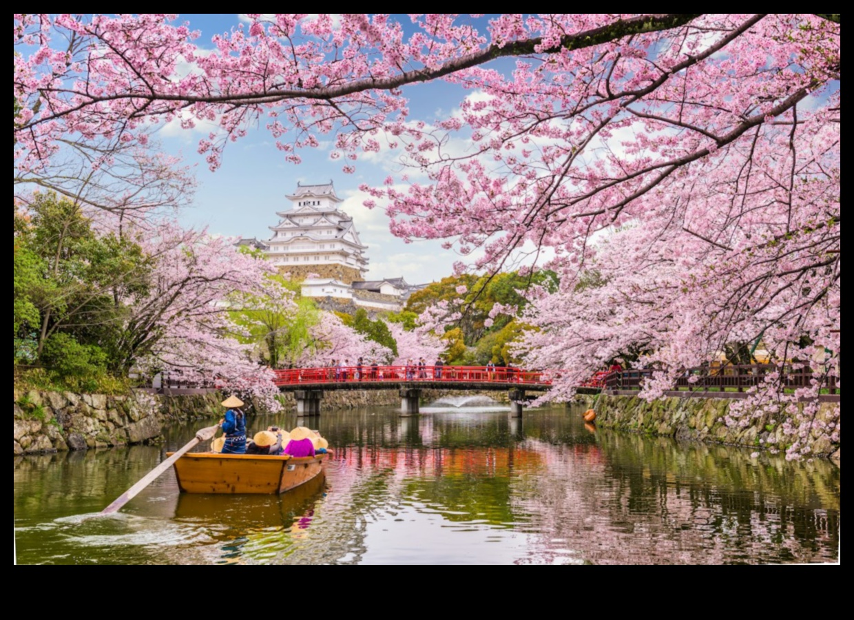 Kiraz Çiçeği Serenatı: Japon Bahçesi Lezzetleri